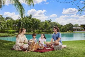 Lotes residenciales en Nueva Merida Mexico