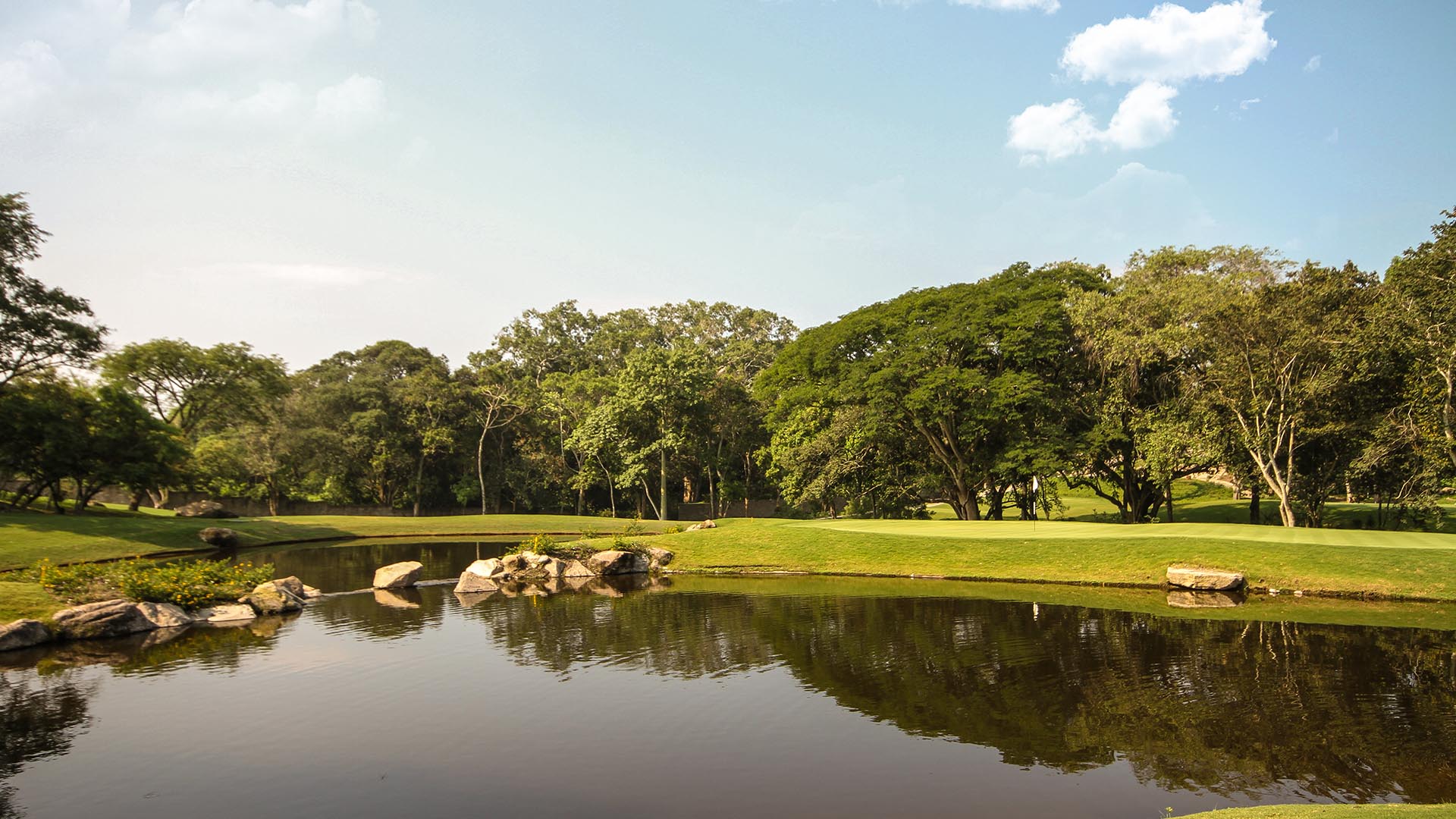 col_0000_GOLFCOLIMA col_0000_GOLFCOLIMA